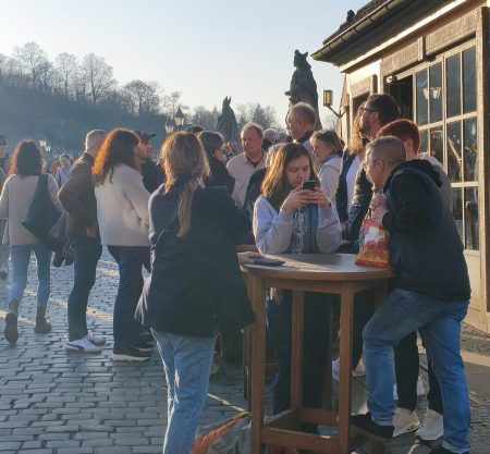 Savor Franconian Wine Tour on Würzburg’s Historic Bridge & Iconic Würzburg Views