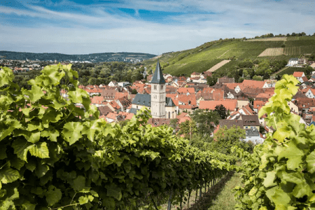 Würzburg & Franconian Wine Valley Experience via Rothenburg ob der Tauber