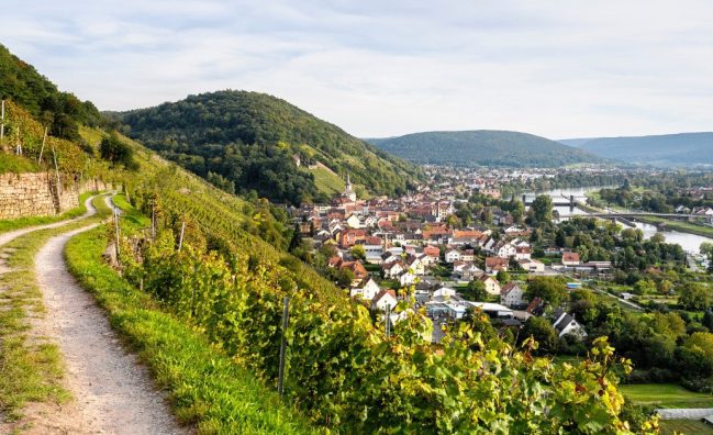 Würzburg Wine & Franconian Wine Valley Half-Day Private Tour — Wineries, Culture & Taste
